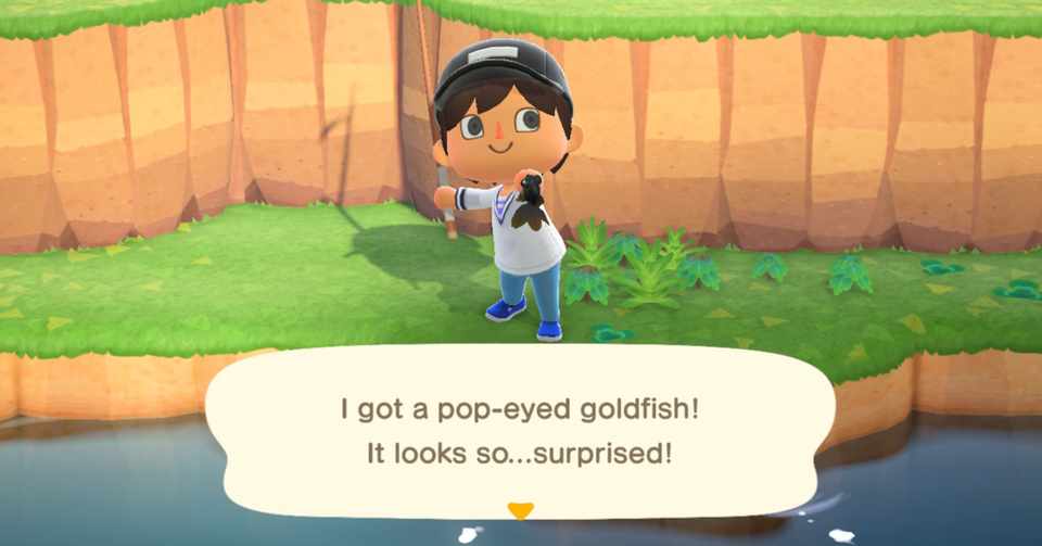 だらだら英語講座 あつもりで覚える生き物の名前 1 Ryuto 龍兎 英語と本とハリネズミ Note