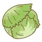 れたす🥬
