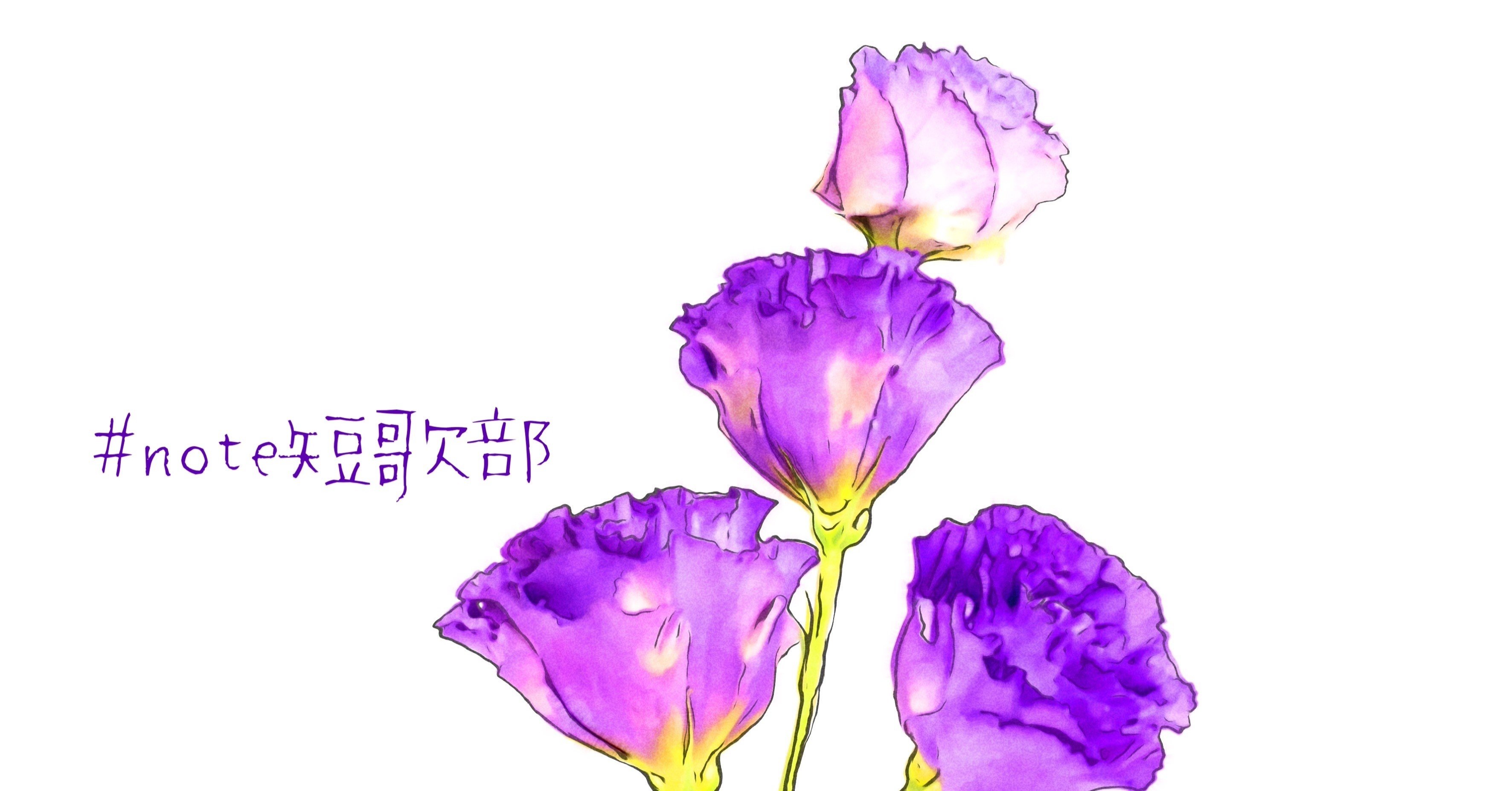 7月12日 誕生花はトルコキキョウ Note短歌部 御子柴 流歌 Note