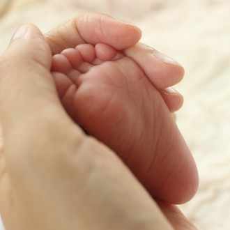 まだら模様の家族 てこ Note