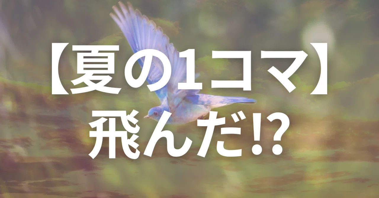 見出し画像