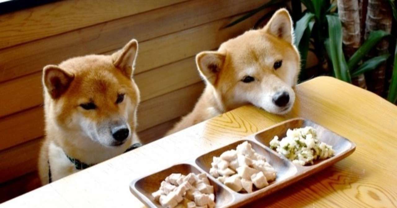 犬の食習慣 犬の飼い主サポートのplam Note