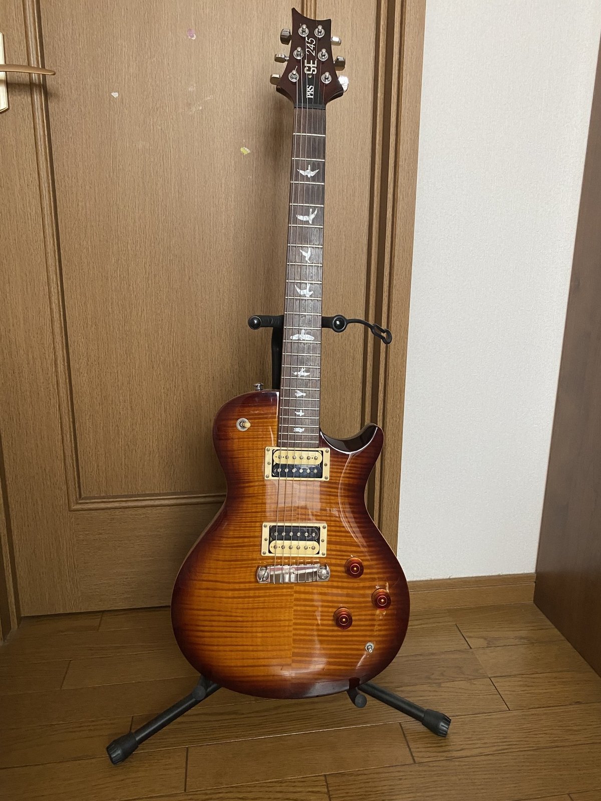 Team:M 第17回 機材紹介｜Team:M Guitar