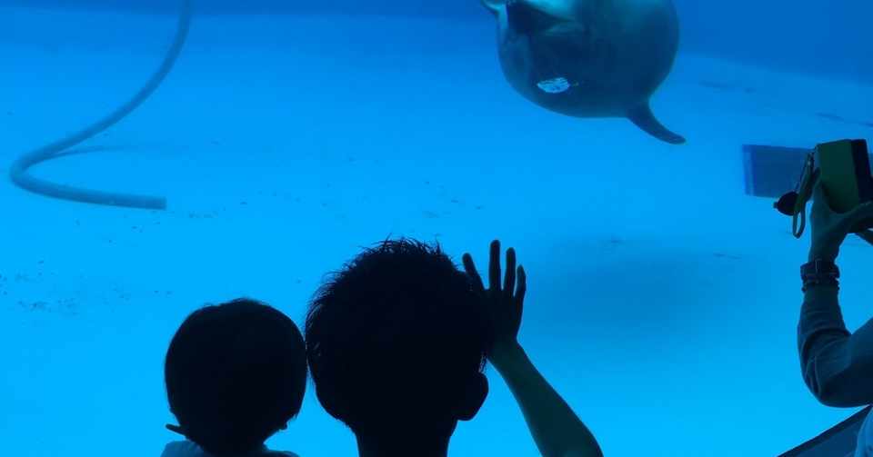 僕と息子と聾と絵本 1 なるかわしんご Note