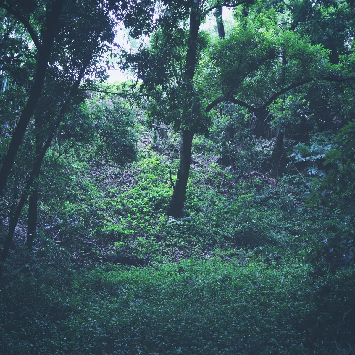 画像2