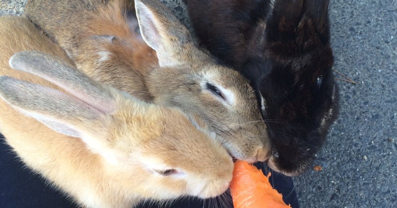 初めての一人旅のこと 広島 16 08 28 08 31 Anna Note