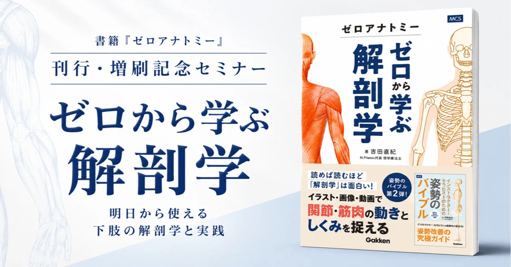 ゼロアナトミー1dayセミナー動画14本&資料148枚入り〜股関節&足関節編