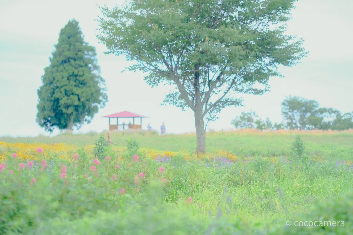 画像3