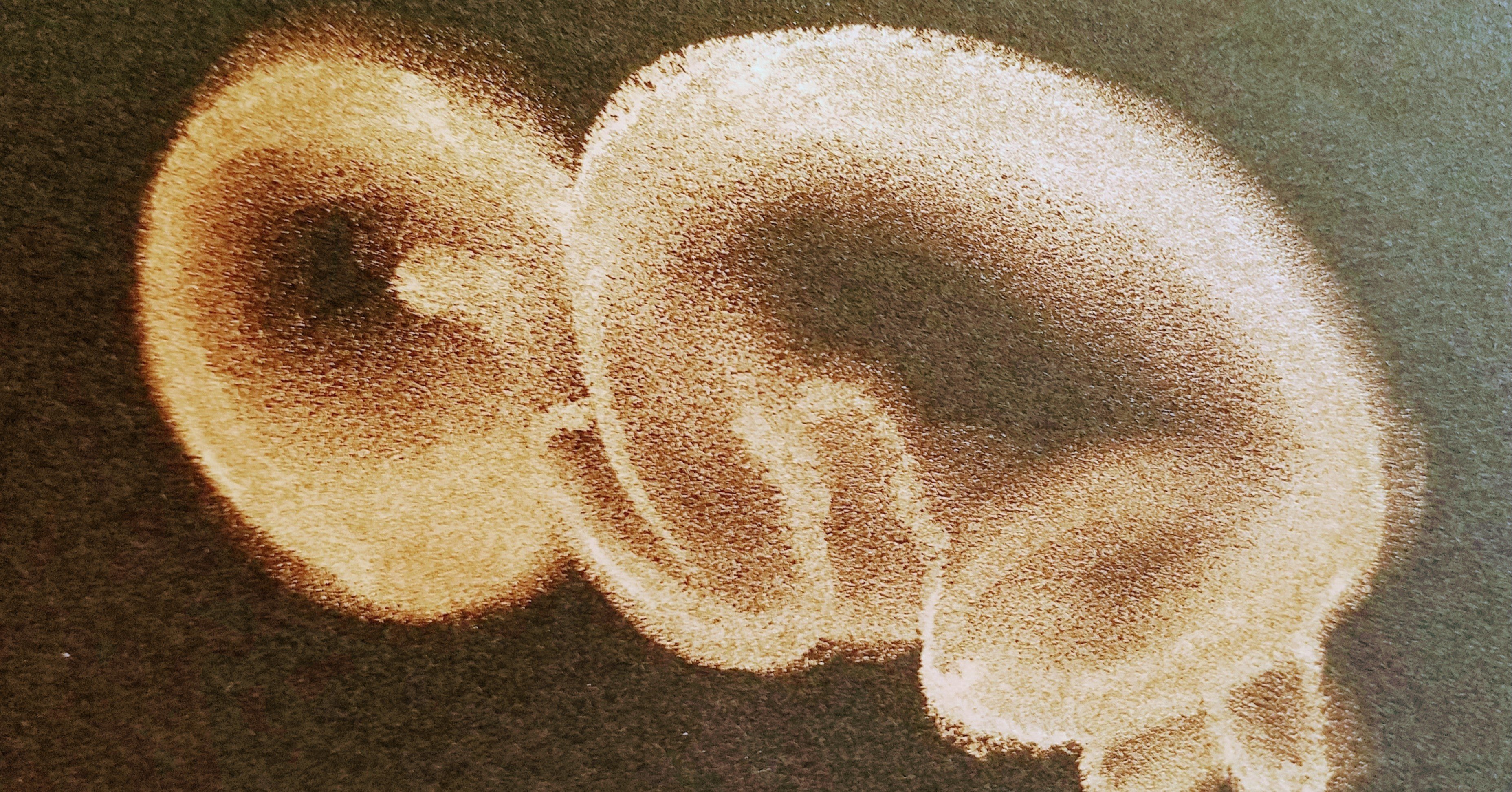 妊娠ホラーと呪いのリプロダクション——『呪怨 呪いの家』について(3)｜弍千年問題, image size:3711x1943