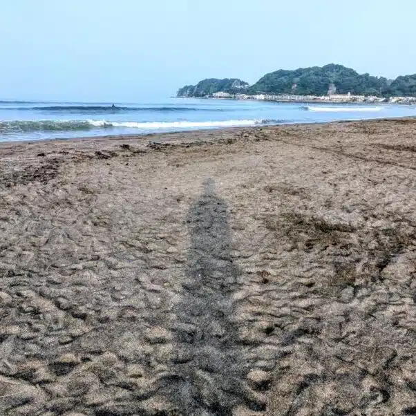 水谷俊樹