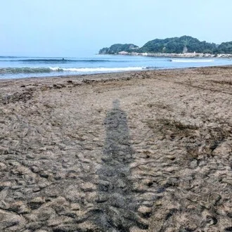 水谷俊樹