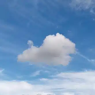 あんこ∼オラクル∼