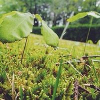 中途半端な優しさは時に人を甘やかす でも厳しい言葉は時に人を傷つける 自分の思い描いた様にならないことに腹を立てるな 伝わらないことを責め 出来なくしている仕組みを直せ 他人のスペックに期待しすぎるな Takuya Note 中途半端な優しさは時に人を甘やかす でも厳しい言葉は時に人を傷つける 自分の思い描いた様にならないことに腹を立てるな 伝わらないことを責め 出来なくしている仕組みを直せ 他人のスペックに期待しすぎるな Takuya Note