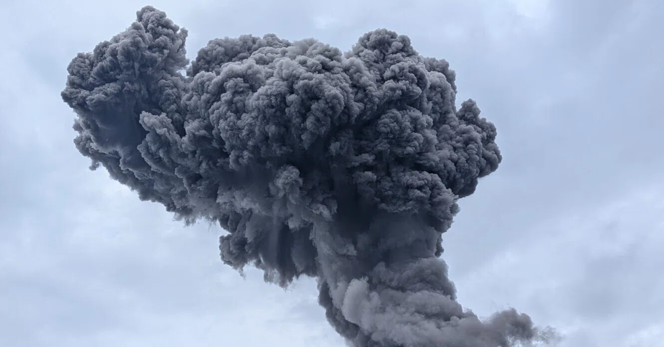 縄文杉の代わりに桜島の噴火を見る｜カブトムシの母