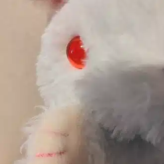 うさめろ(*´ｪ`*)