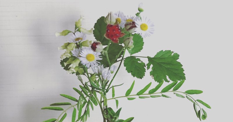 名も無き画家になることを目指す 八太栄里 Eri Hatta Note