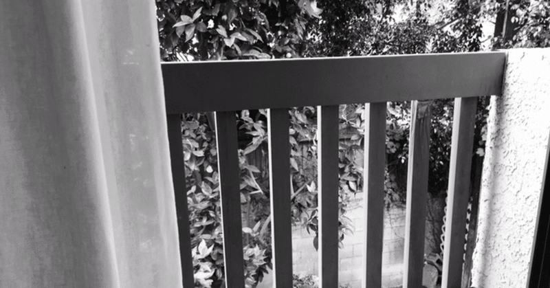 窓を開けて寝てはいけない話 野良イーブイちゃん Note 窓を開けて寝てはいけない話 野良イーブイちゃん Note