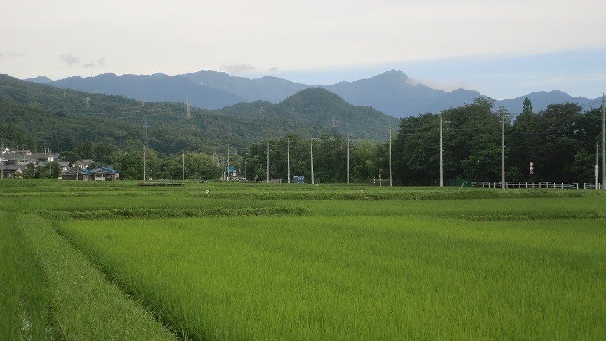 谷川岳と田園2020.7.13