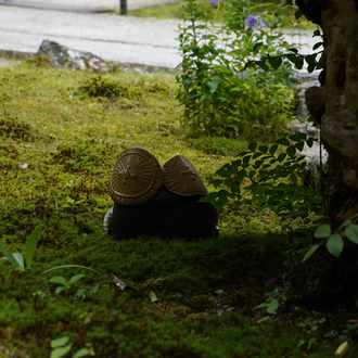 松　／kyohei matsuo