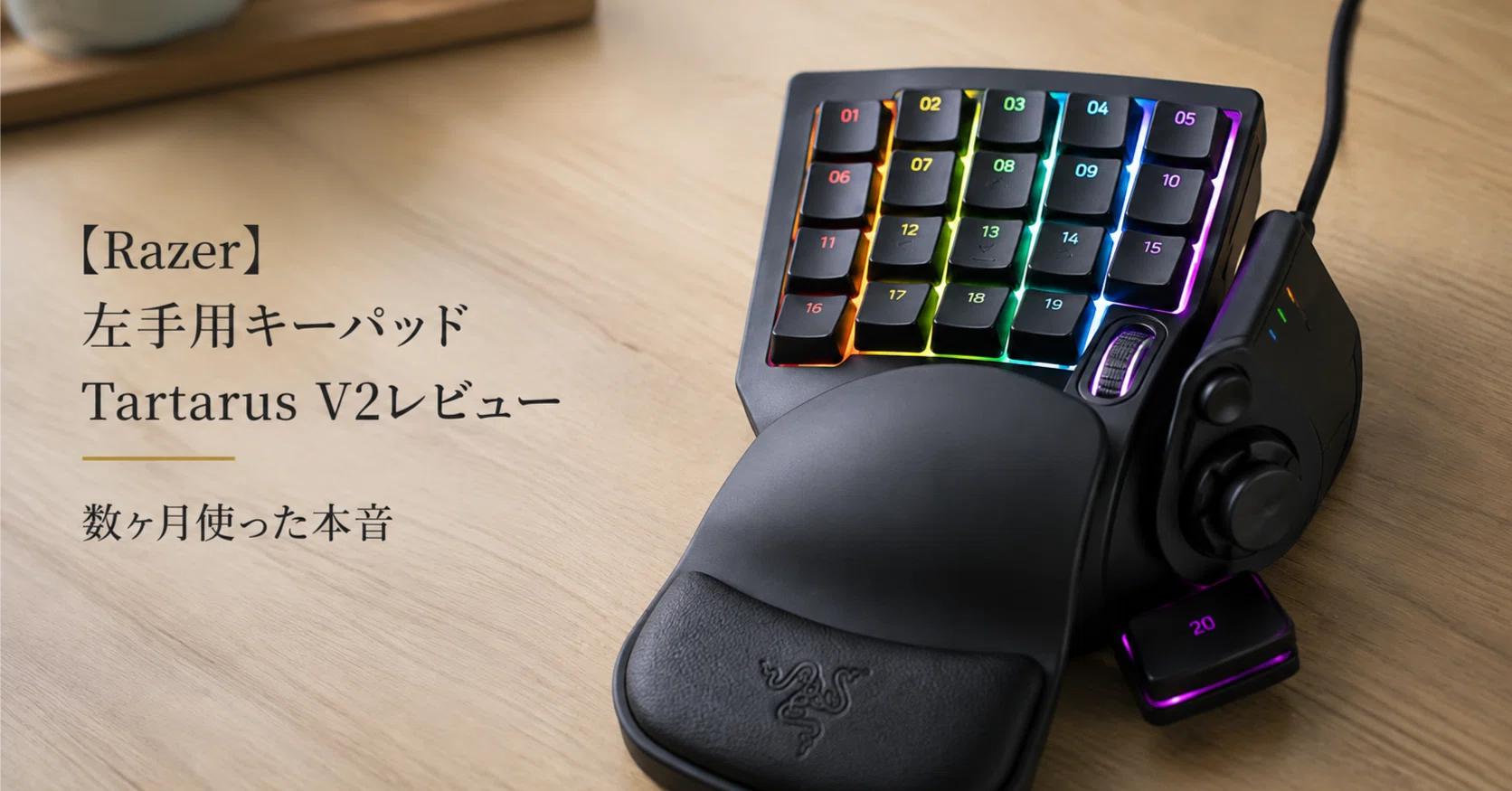 Razer] Tartarus V2 Keypad Review | Honest Thoughts After Several