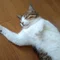 遊星より愛をこめて