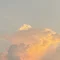 氷菓子_新社会人の暮らしと旅