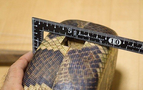 三線の胴を「裏表」逆にしてみる｜豊岡マッシー三線教室＆三線ブログ