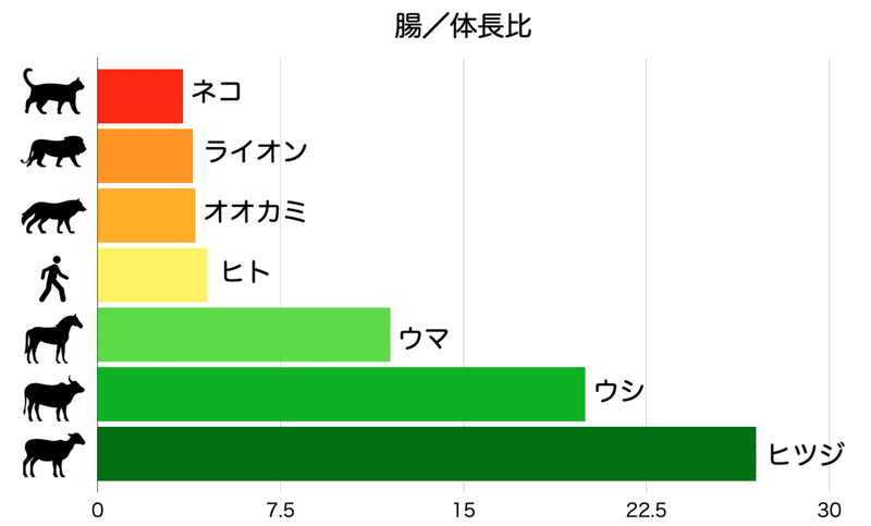 猫 完全肉食動物 を熱く語る 体のつくり編 Wisham Note