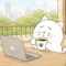 豆猫