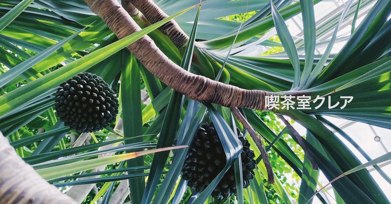 01 喫茶室クレア 板橋区立熱帯環境博物館 ますこ めぐみ Note