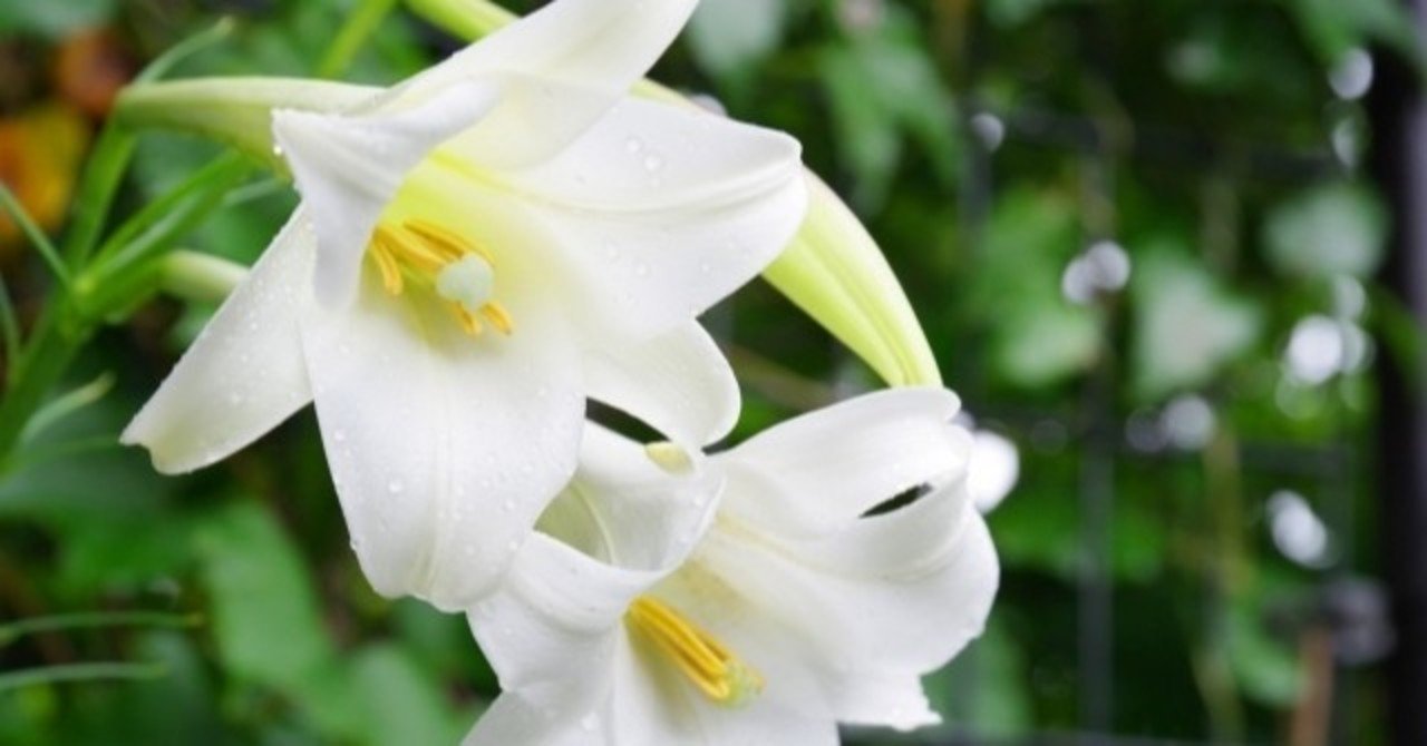 津久井やまゆり園で起きた事件を通して表出した 第二の刃 を社会はいつまで振りかざすのか 山田由美子 note