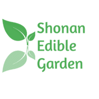 第二回見学会 少な かぼちゃを探せ 開催 Shonan Edible Garden 仮 開業準備室 Note