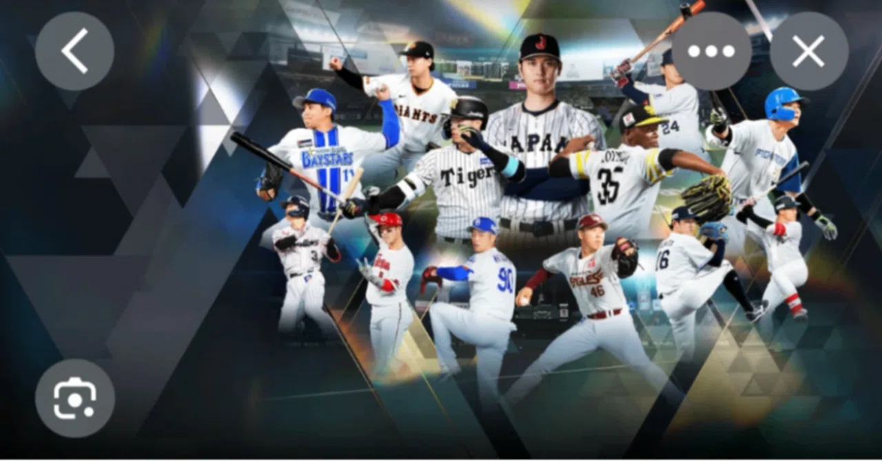 プロ 野球 ハンデ