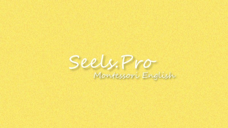 ロゴ　SEELS　Montessori　トプ画