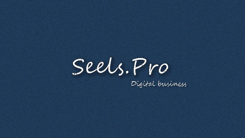 ロゴ　SEELS　pro degital business 白
