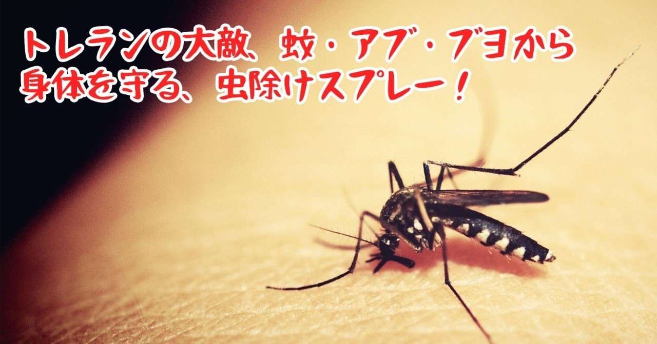 夏本番 トレラン中の大敵 蚊 アブ ブヨから身体を守る虫除けスプレー ガチオ Note