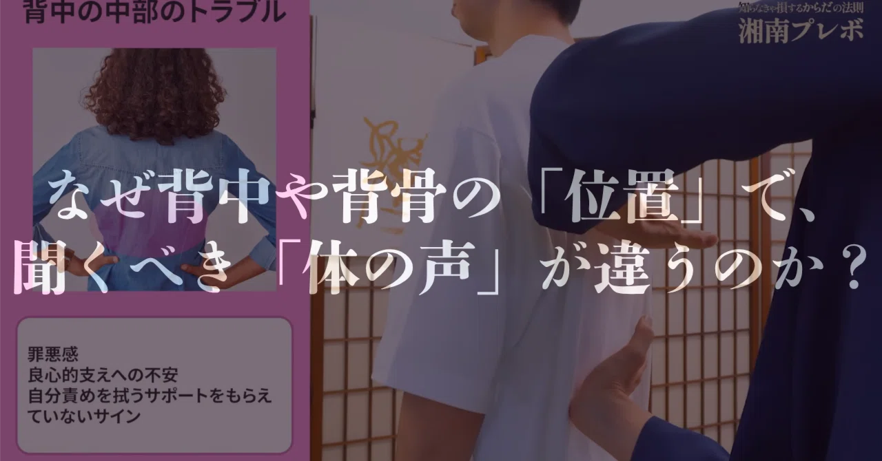なぜ背中や背骨の「位置」によって、聞くべき「体の声」が違ってくる