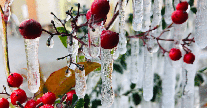 背中の冷え 血行不良のケア Drops Nao Note