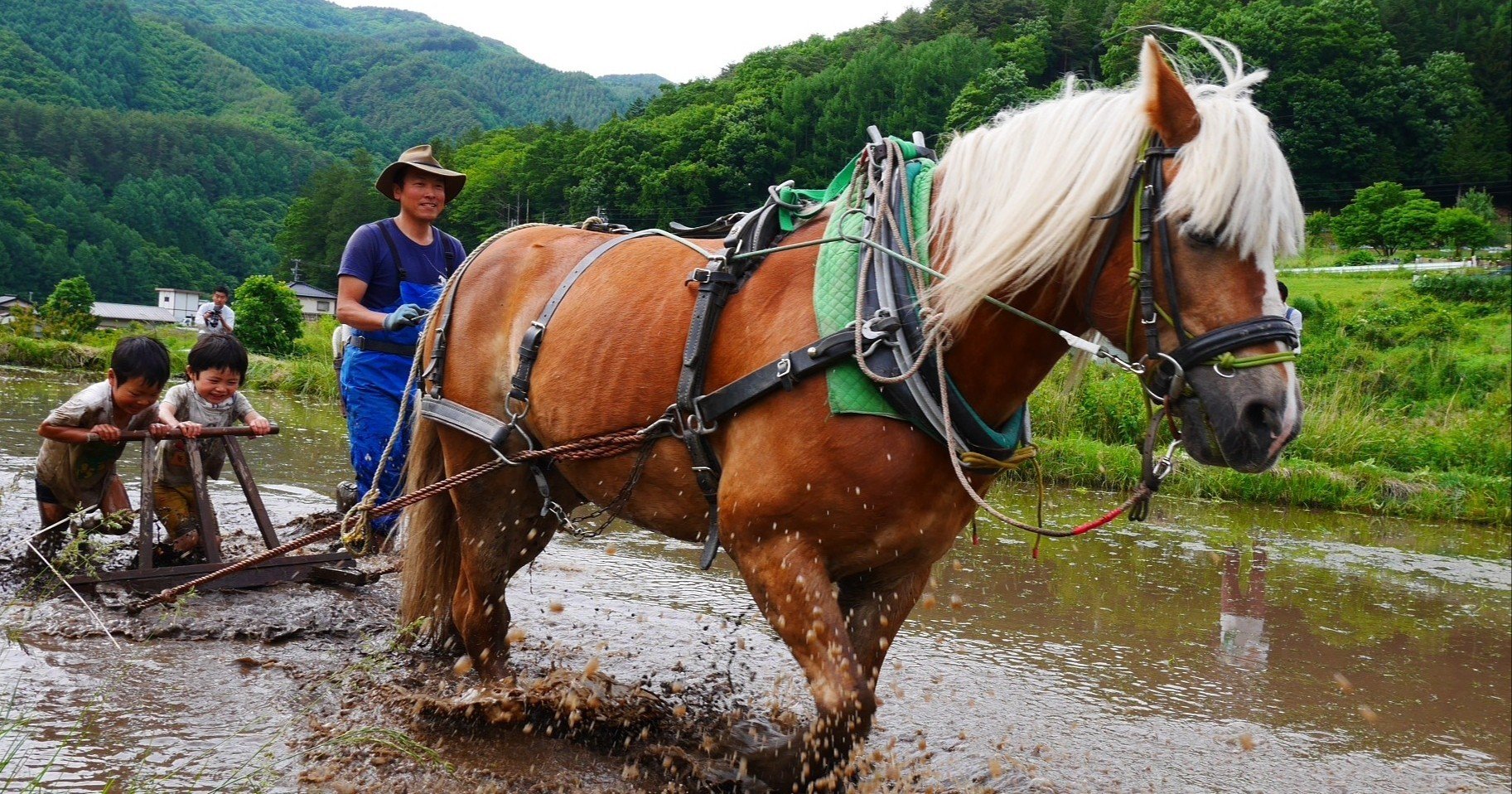 あえて馬で耕す 農と馬で人々をつなぐ ハヤシヨーコ Note あえて馬で耕す 農と馬で人々をつなぐ ハヤシヨーコ Note