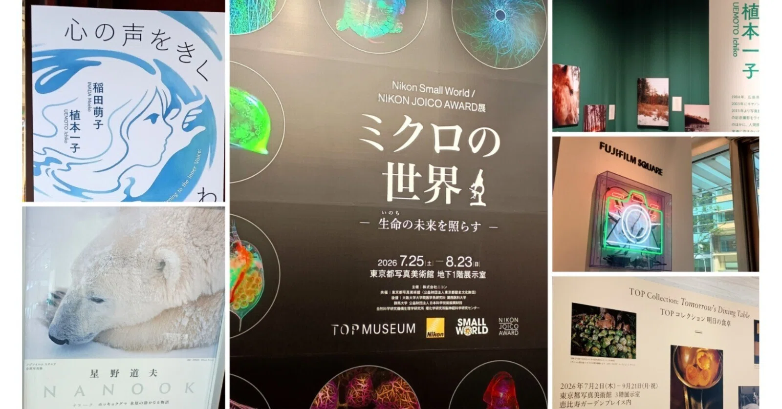 美品希少 明治42年発行◆発売所：金桜堂 写真石版縮冊 懐中義太夫 合計15縮冊 写真三昧だった日｜百日草/座敷童子