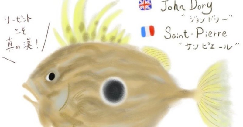 ロンドン魚屋の全然役に立たないお魚図鑑(John Dory)