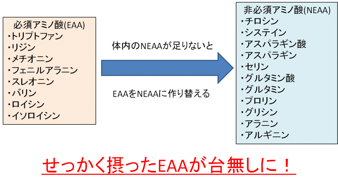 加水分解プロテイン の新着タグ記事一覧 Note つくる つながる とどける