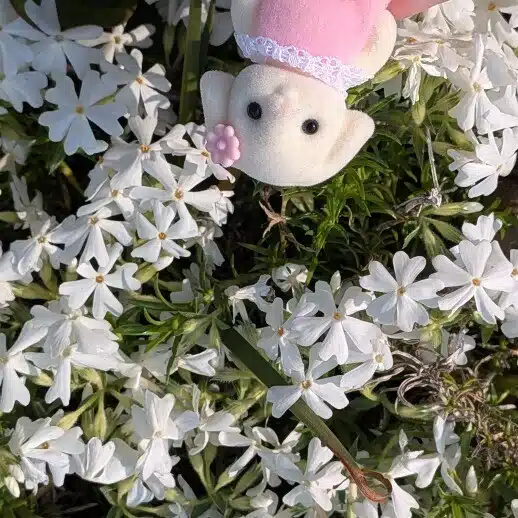 定時