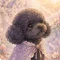 よい菜|パステル村通信