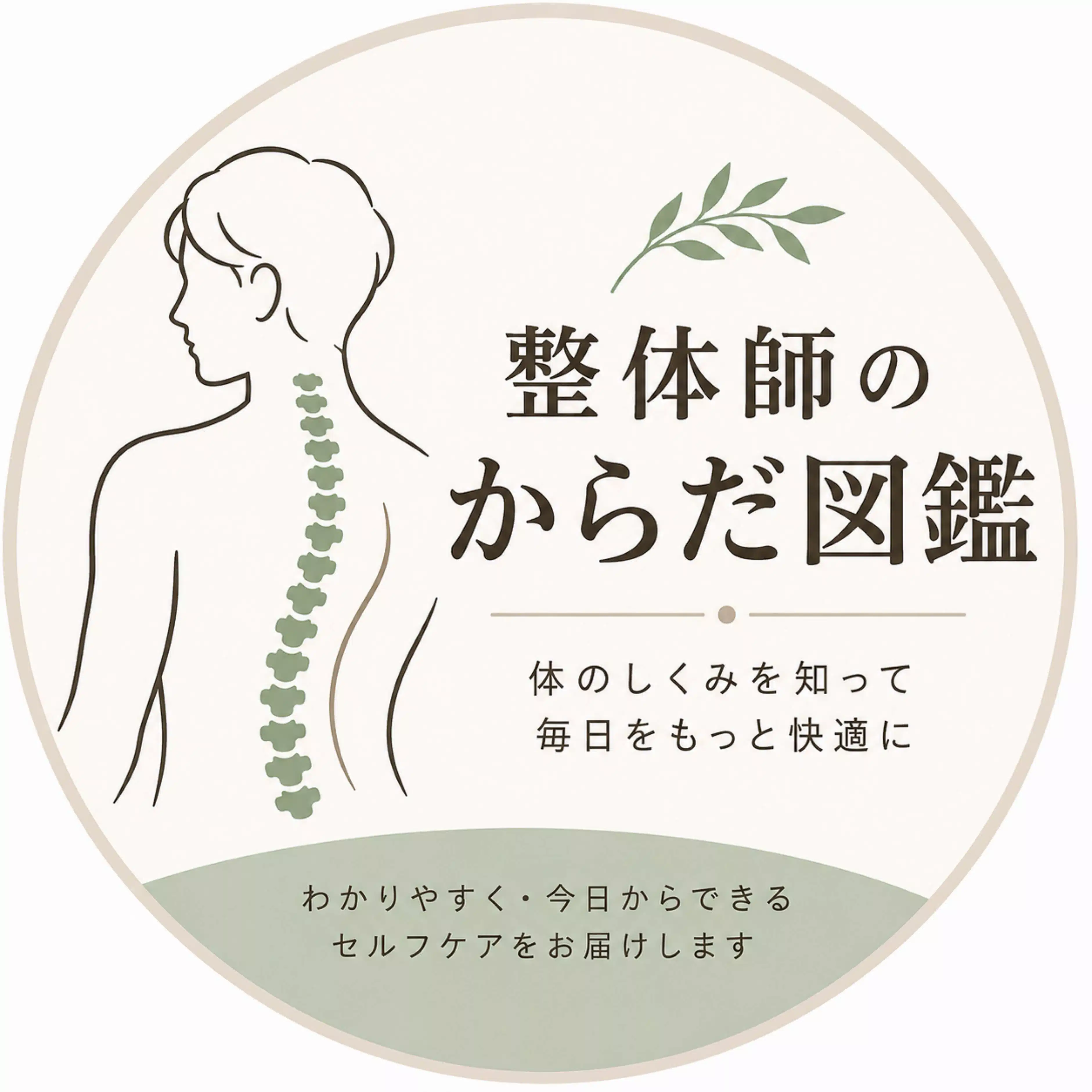 整体師のからだ図鑑