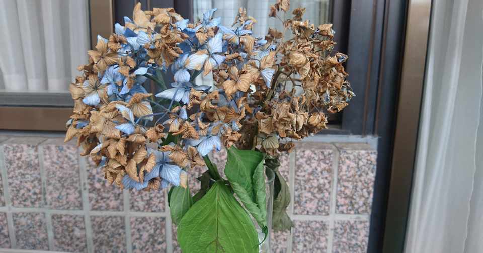 花が枯れていく移ろいに魅力があり それは村上春樹の小説だ Minami Note