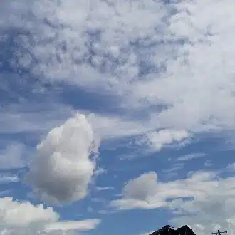 ☕ともとも🏞️