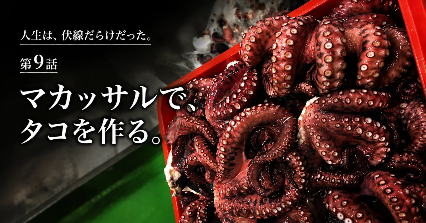 マカッサルで、タコを作る。｜kenhappy