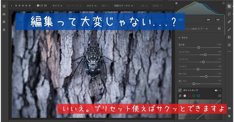 写真編集を効率化 プリセットの保存方法と活用方法について 大塚 久輝 Note
