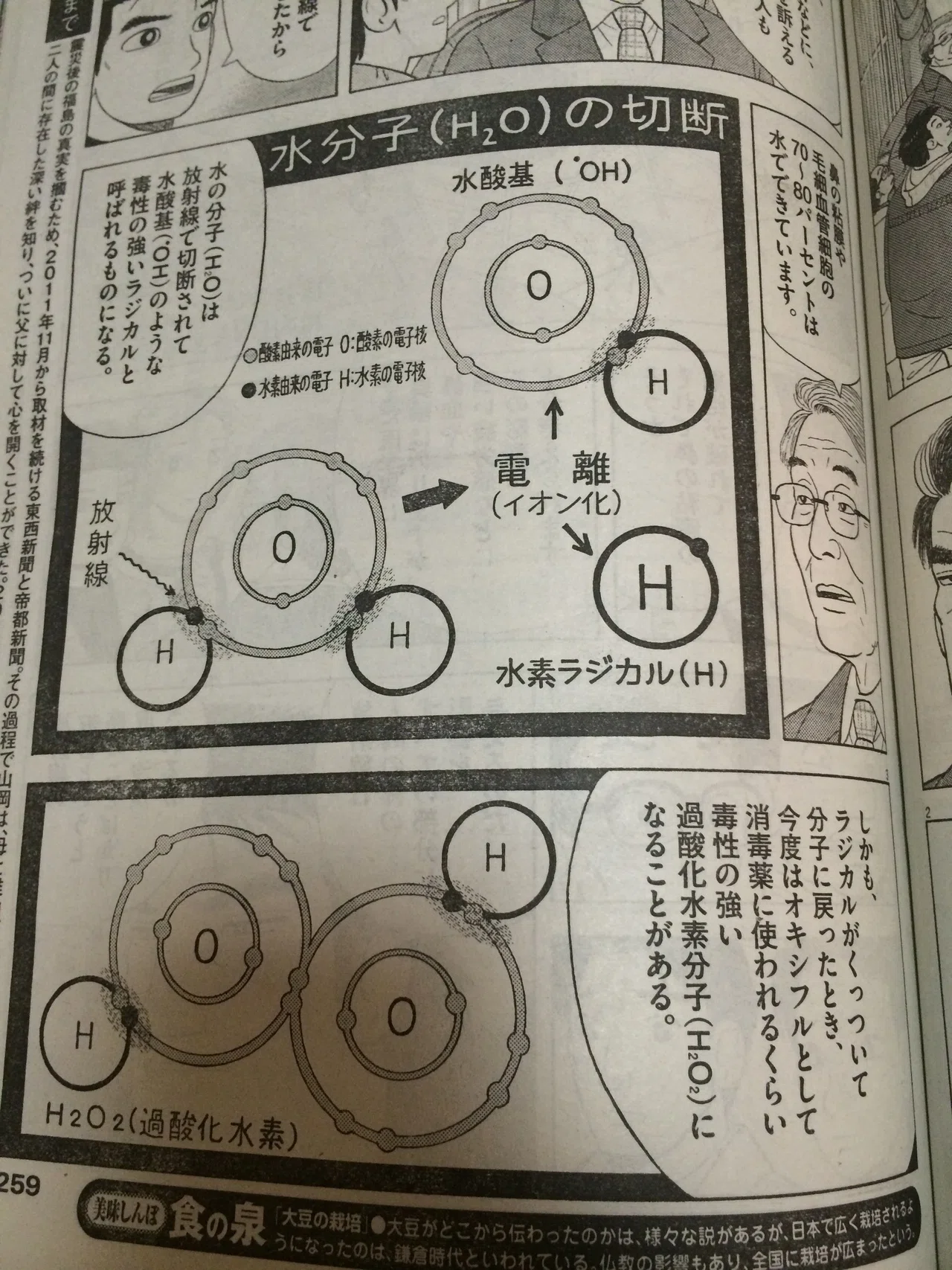 公の場での発言・インタビュー報道記録